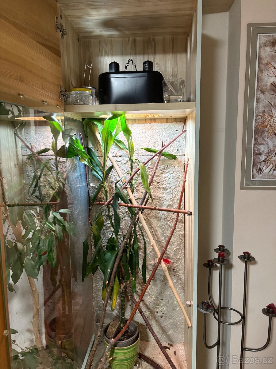 Terárium pro chameleona - 2