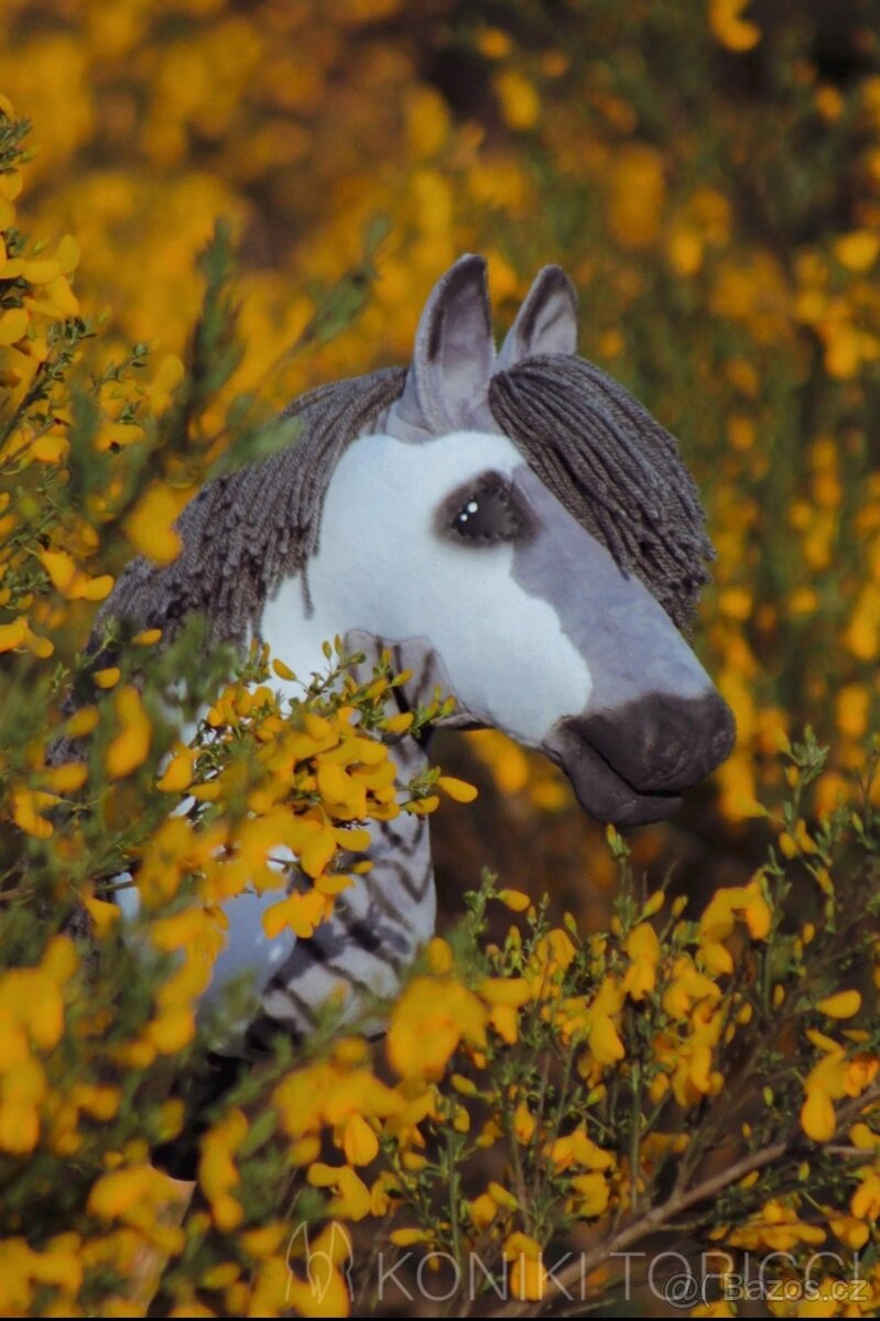 Hobby horse - 2