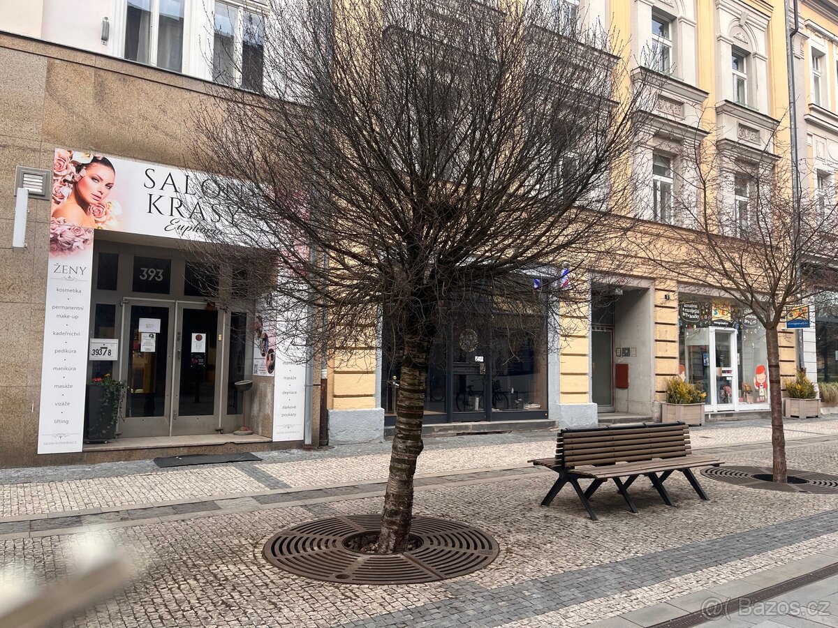 Pronájem Nebytových prostor 209 m2 - 2