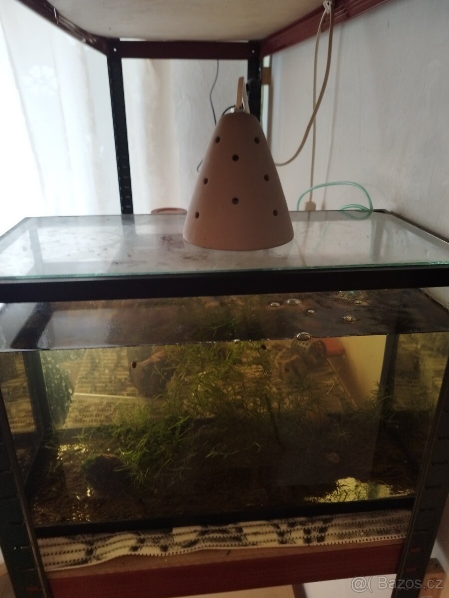 Akvarium - 2