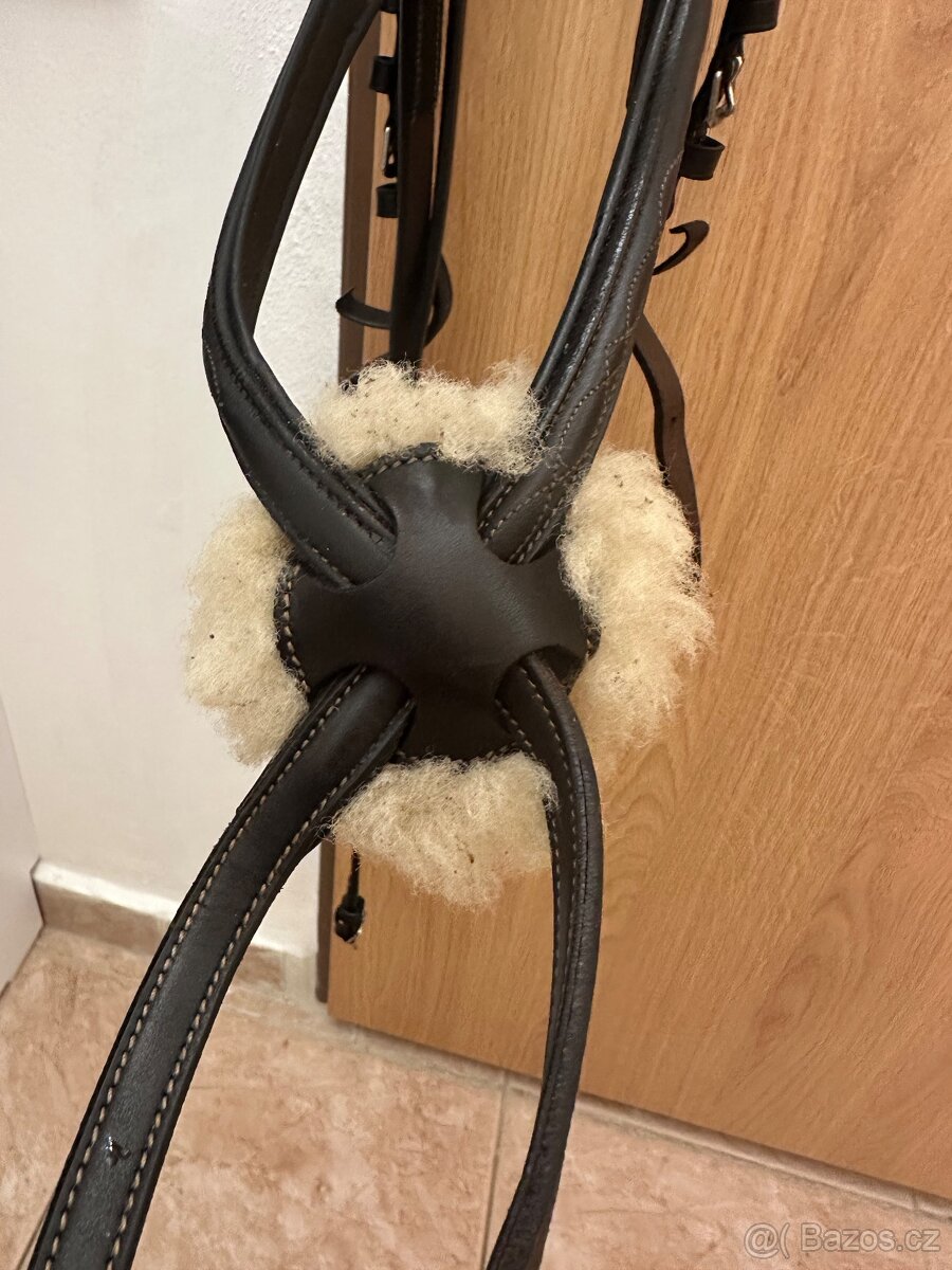 Uzdečka Equestro cob - 2