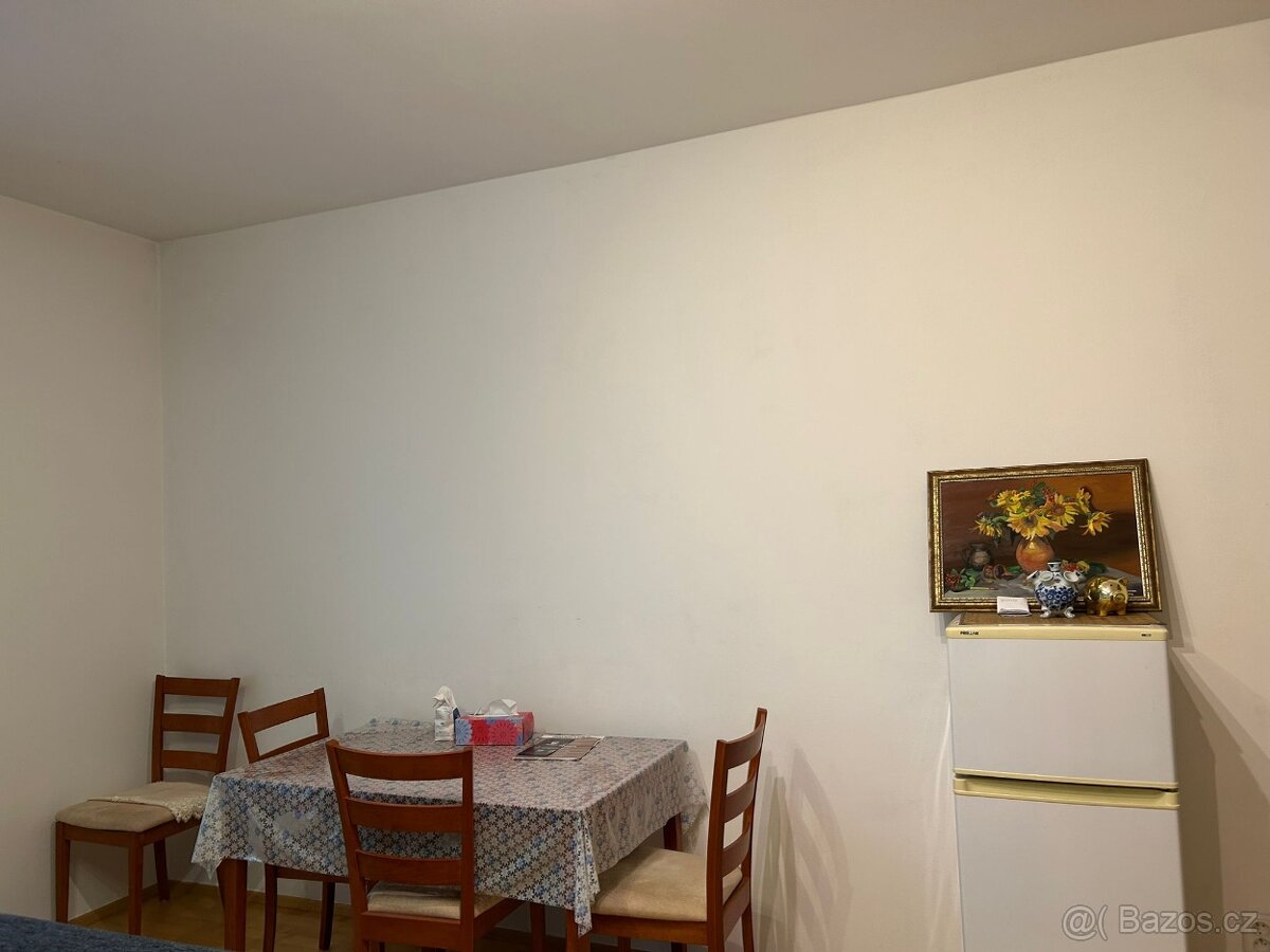 Pronájem bytu 2+kk 56 m² Nad Dalejským údolím, Praha - Stodů - 2