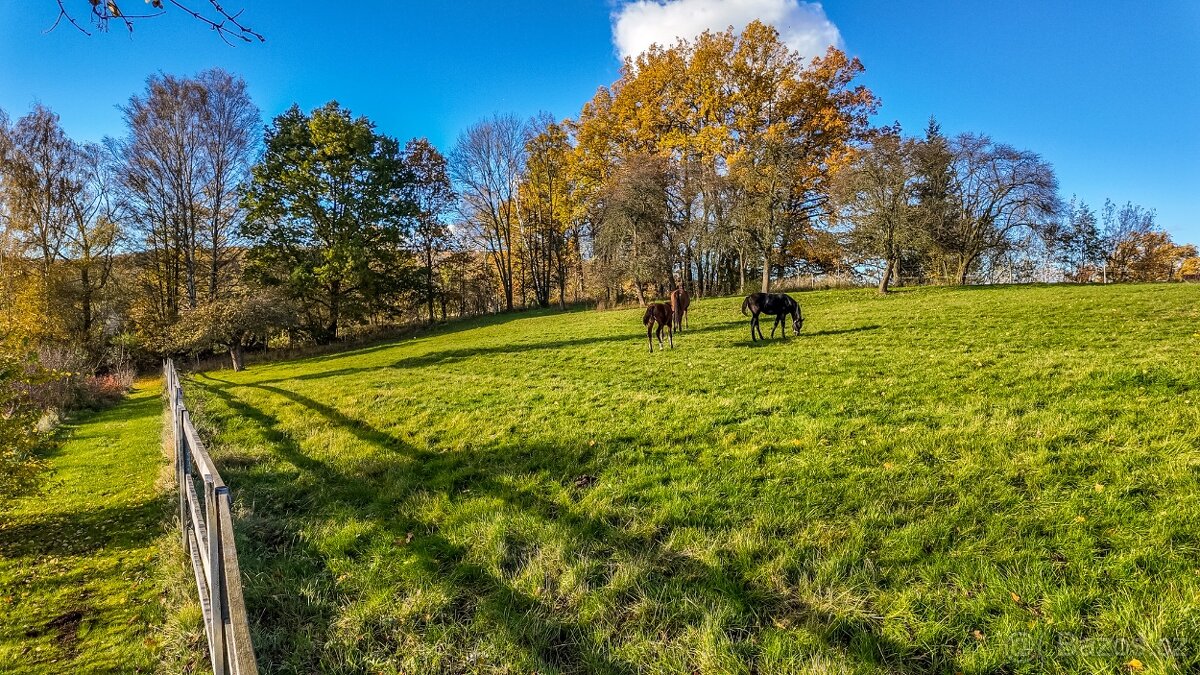 Ustájení koní - 2