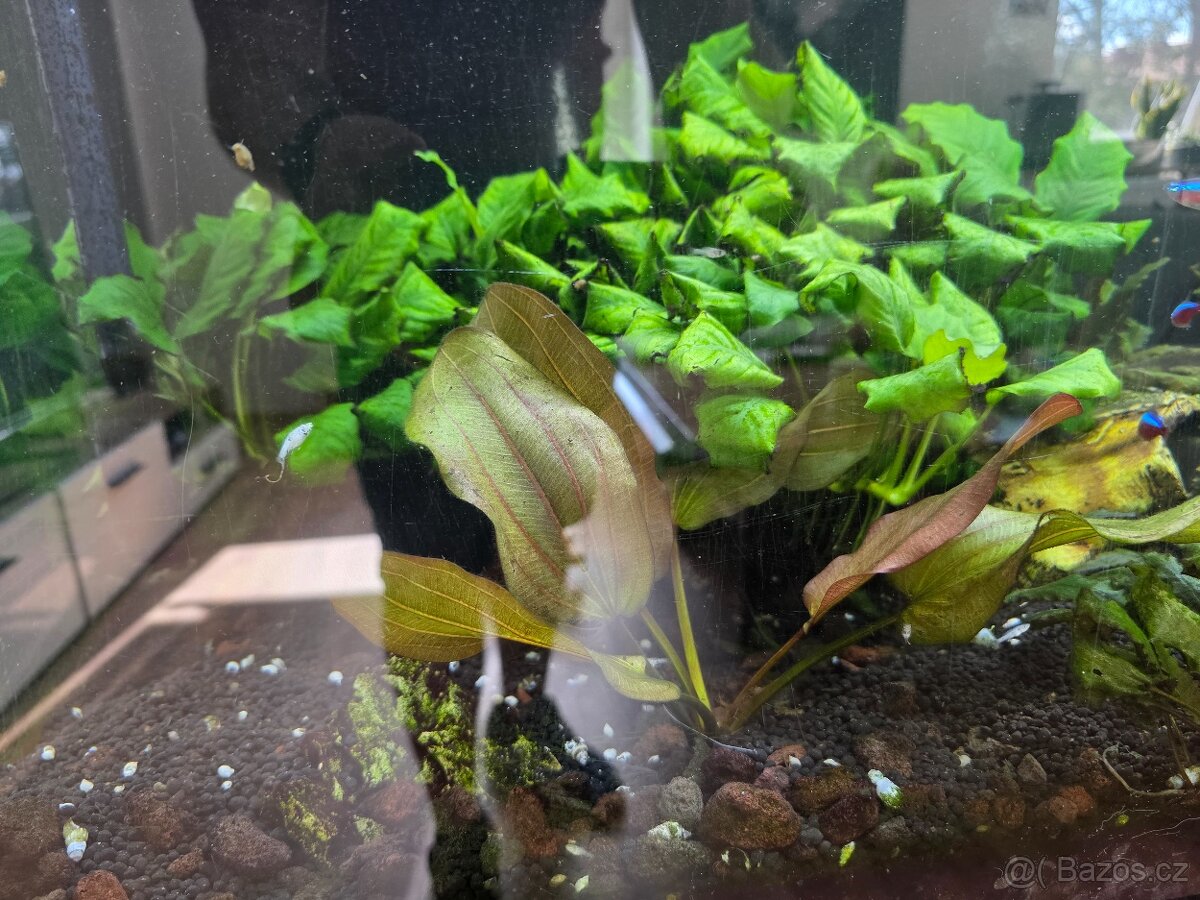 Akvarium,prislusenstvi - 2