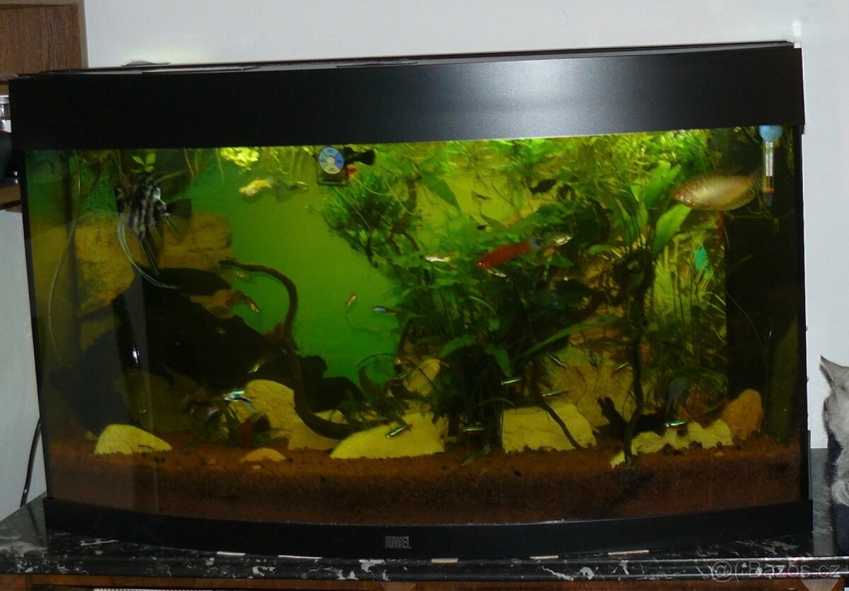 Akvárium Juwel vision 180 litrů - 2