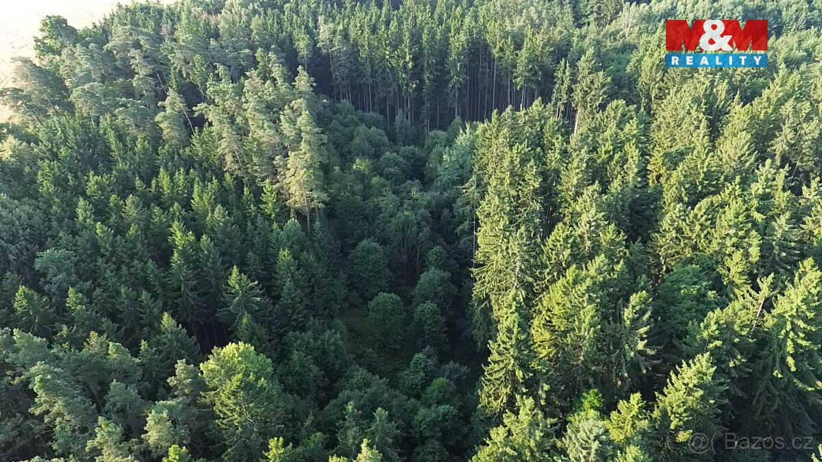 Prodej lesa, 5139 m², Tábor - 2