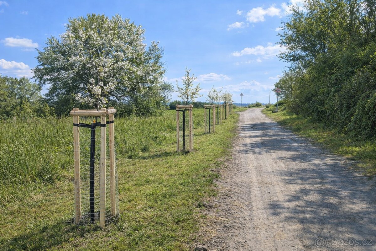 Na samotě u rybníka - 2