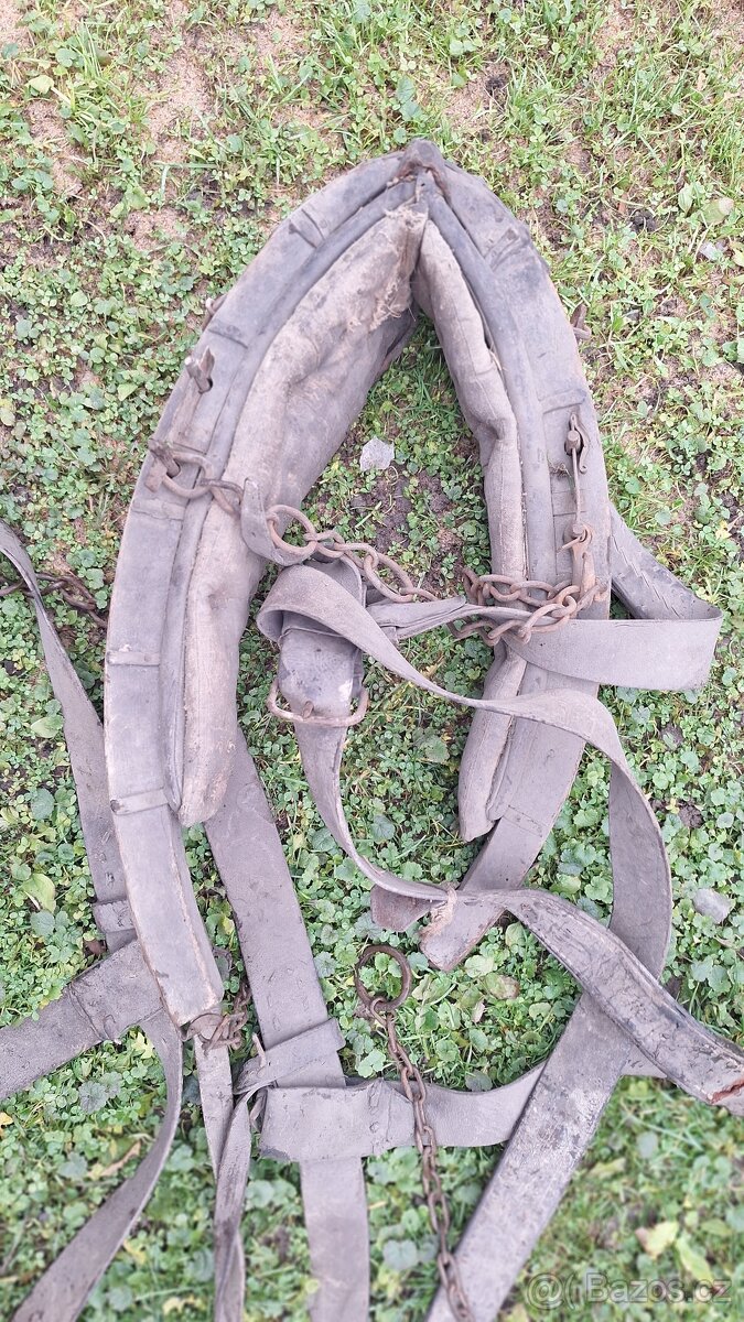 Staré chomouty ,postroje - 2