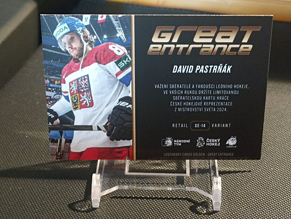 David Pastrňák 2 REPREZENTACE - 2