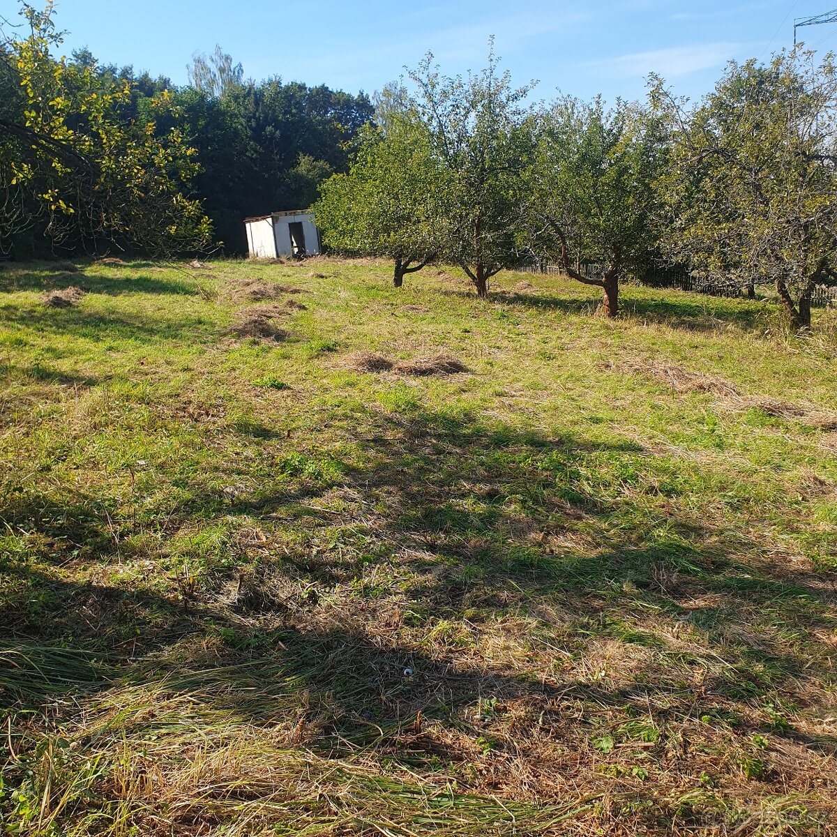 Prodám krásný pozemek za obcí Smolnice u Loun - 2