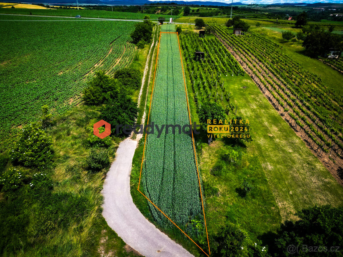 Prodej pozemku, vinice, 922 m2, Vlkoš u Kyjova - 2