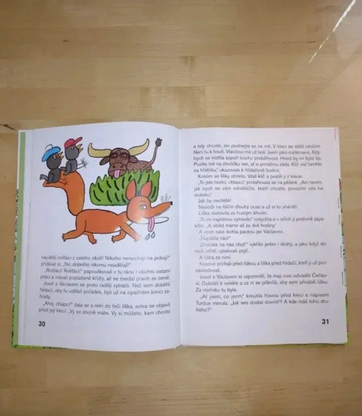 Kniha Kosí bratři - 2