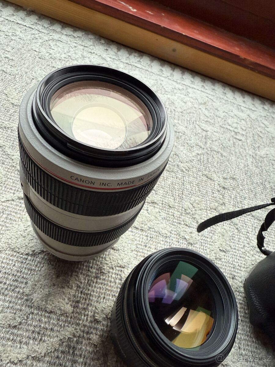 Canon EOS 1DX mark II, Canon EF-70-300 L USM, Canon 85-1,8 - 2