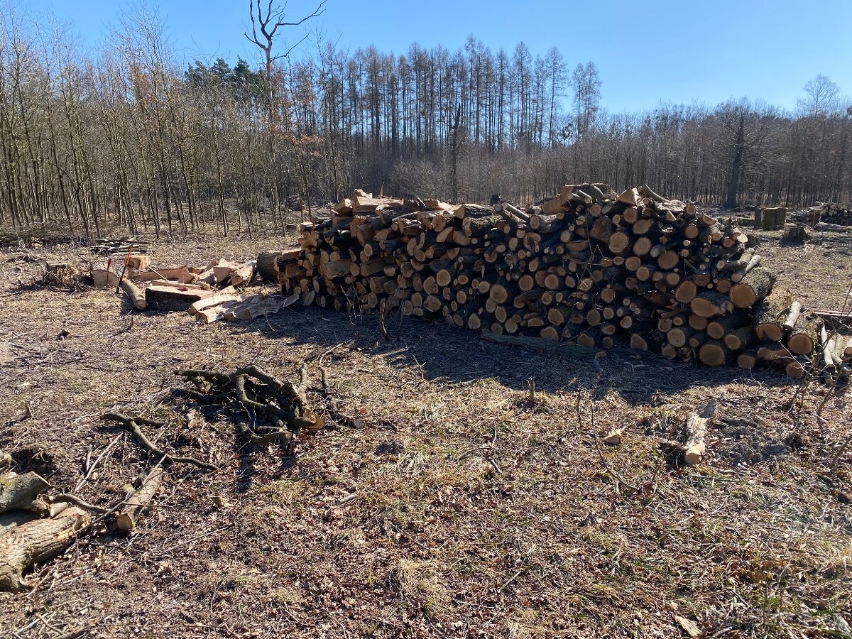 Prodám tvrdé palivové dřevo dub - 2