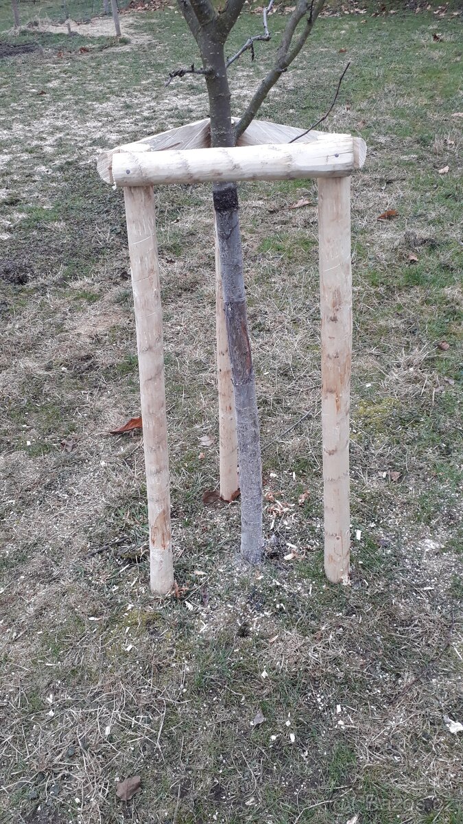 Odkorněné kůly - 2