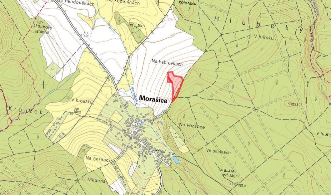 Zemědělská půda, prodej, Morašice, Pardubice - 2