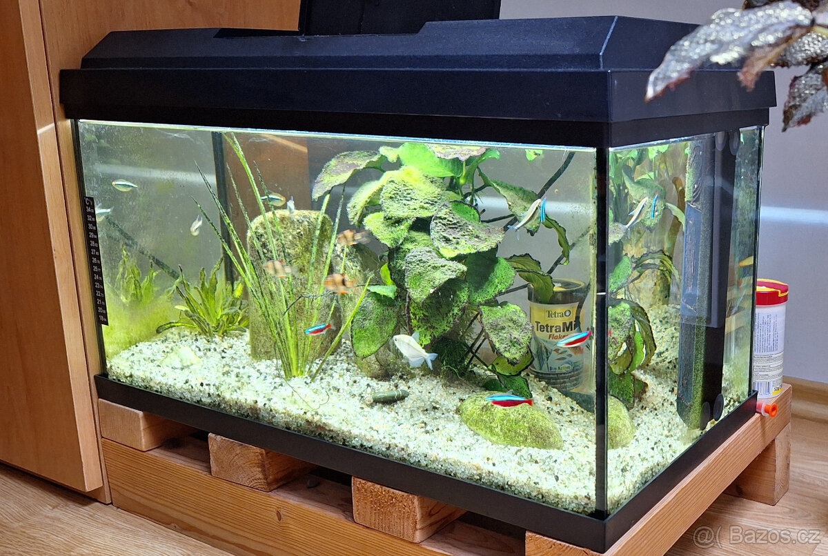 Prodám AKVÁRIUM - 2