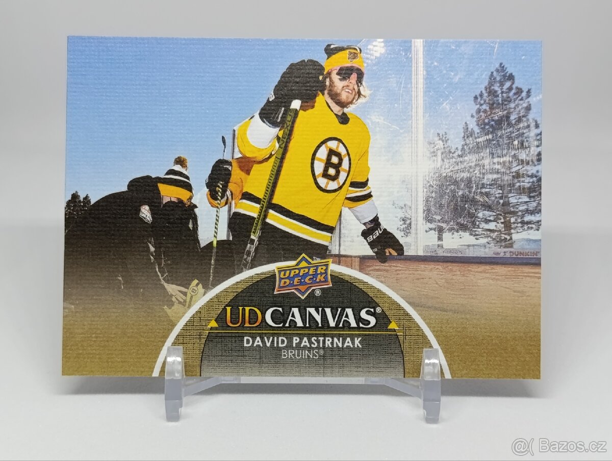 David Pastrňák (2) - 2