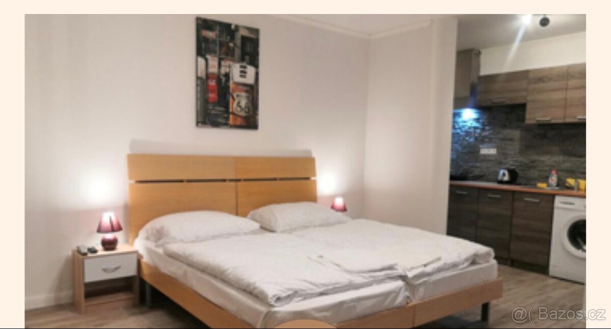 Nabízím ubytování pro montéry na Mělníku různé pokoje - 2