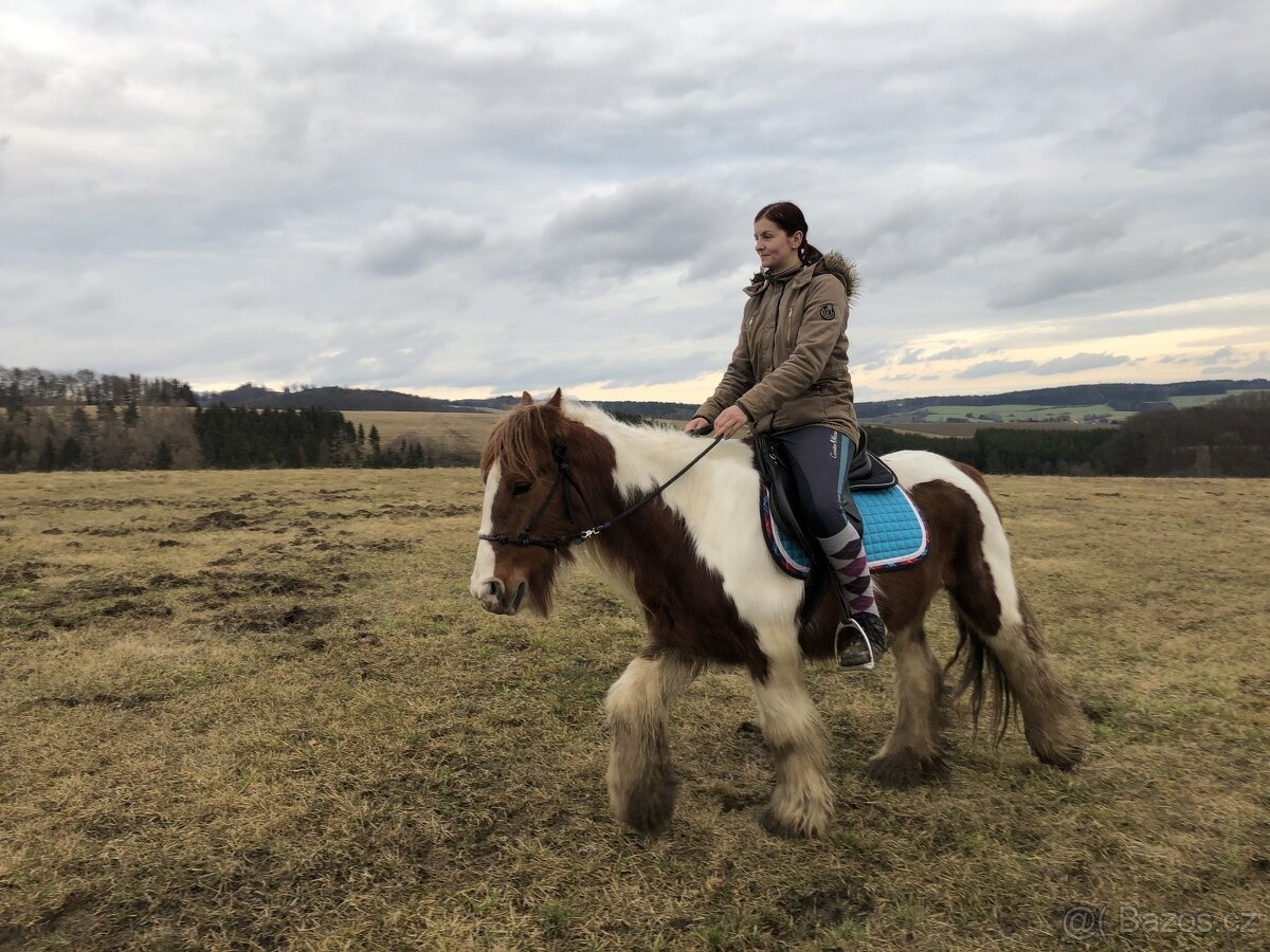 Obsedání koní - 2