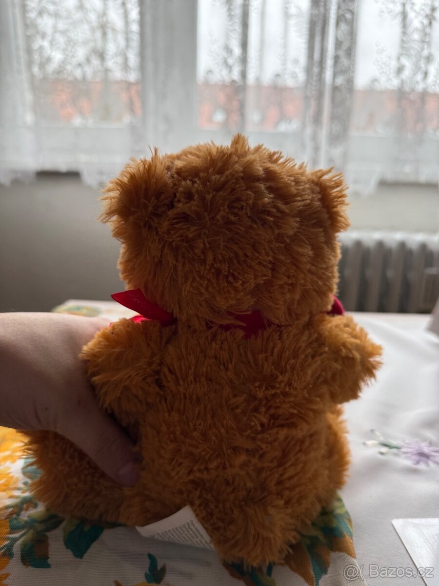 Medvídek vanentýnsky - 2