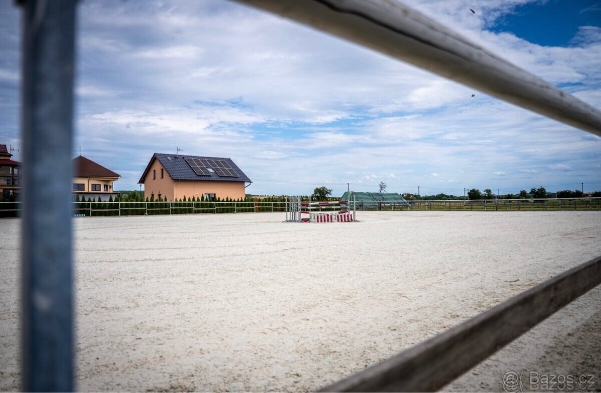 Ustájení koní - 2