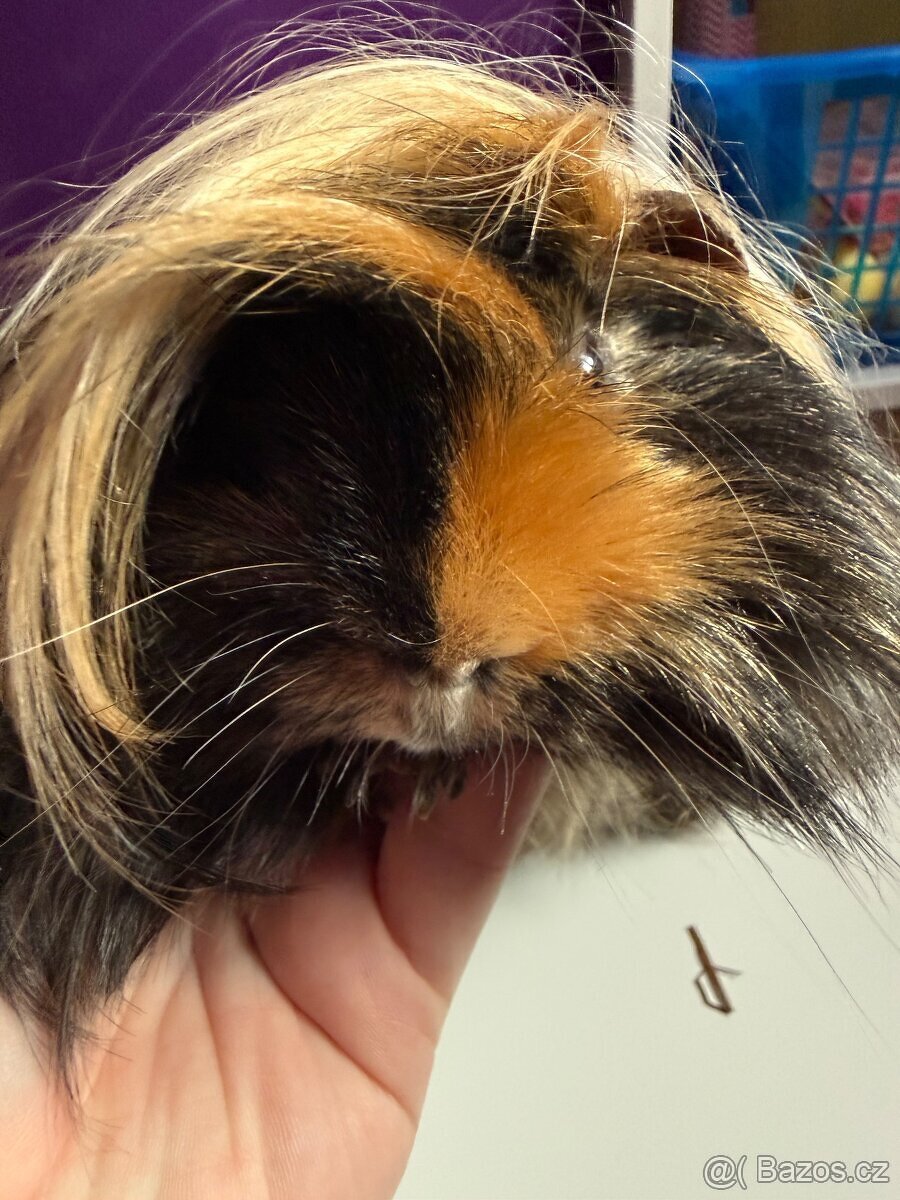 2 morcatka - kluci vcetne vybaveni - 2