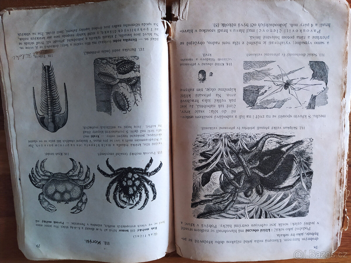 Starožitná učebnice - 2