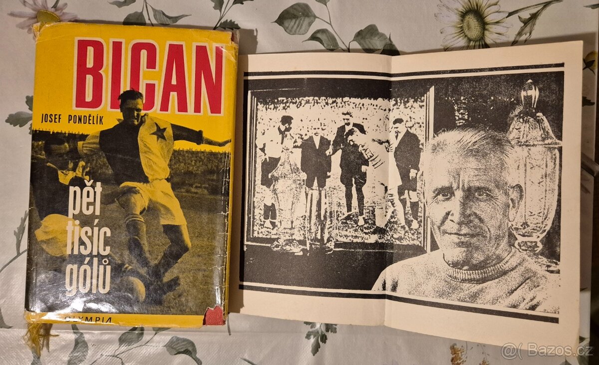 Knihy Bican a Plánička. - 2