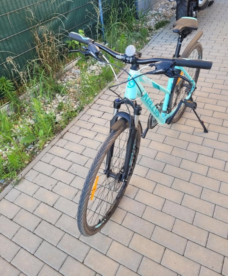 Kolo Kellys Pheebe 10 Mint - 2