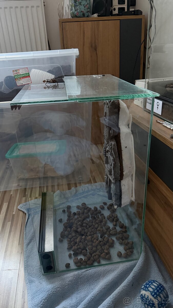 4x terárium - 2