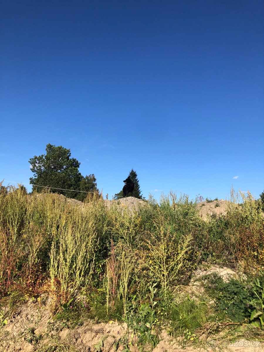 Suť, hlína, směs, kamení, závoz, terén - 2