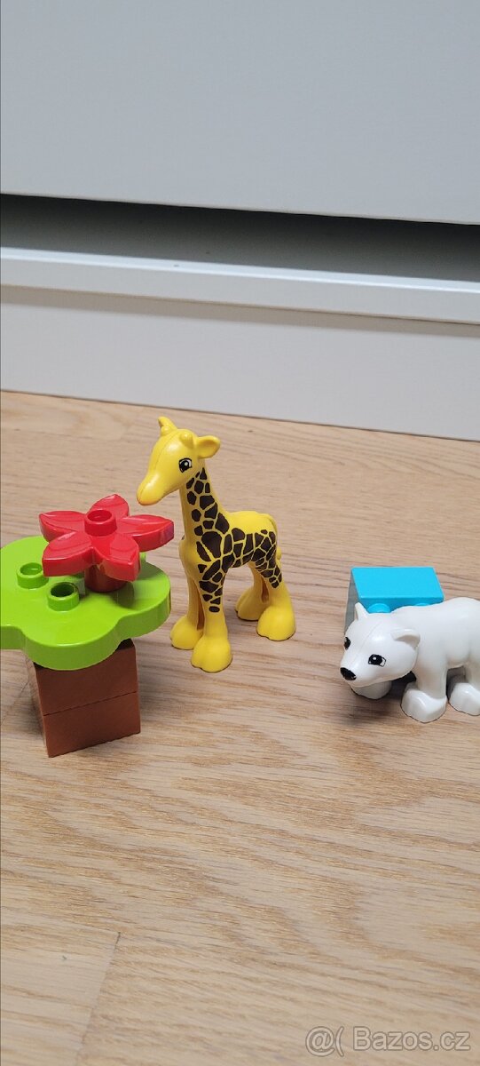 Duplo mláďata - 2