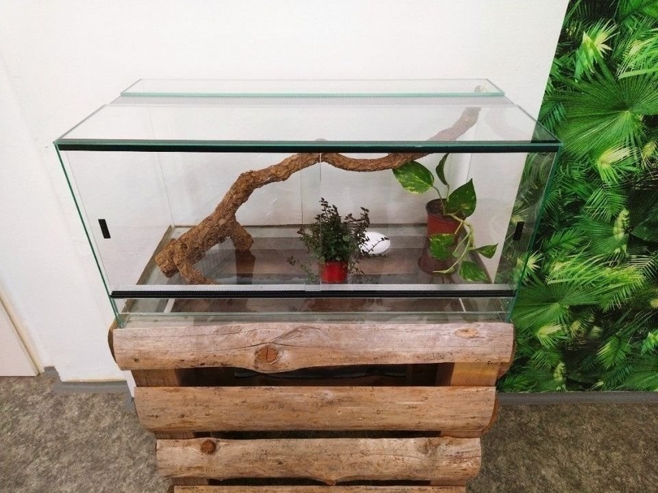 Špičkové terárium 80x40x40 cm bez pozadí - 2
