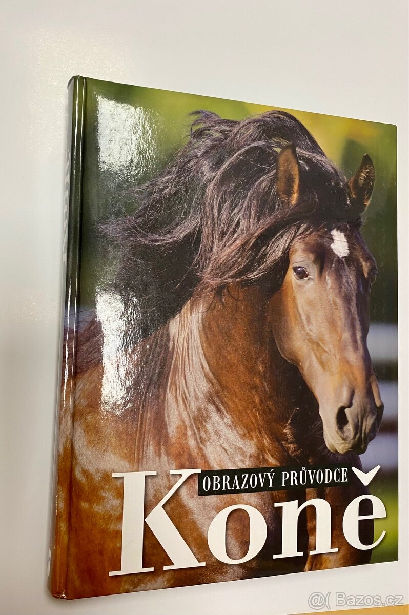 Obrazový průvodce koně - 2