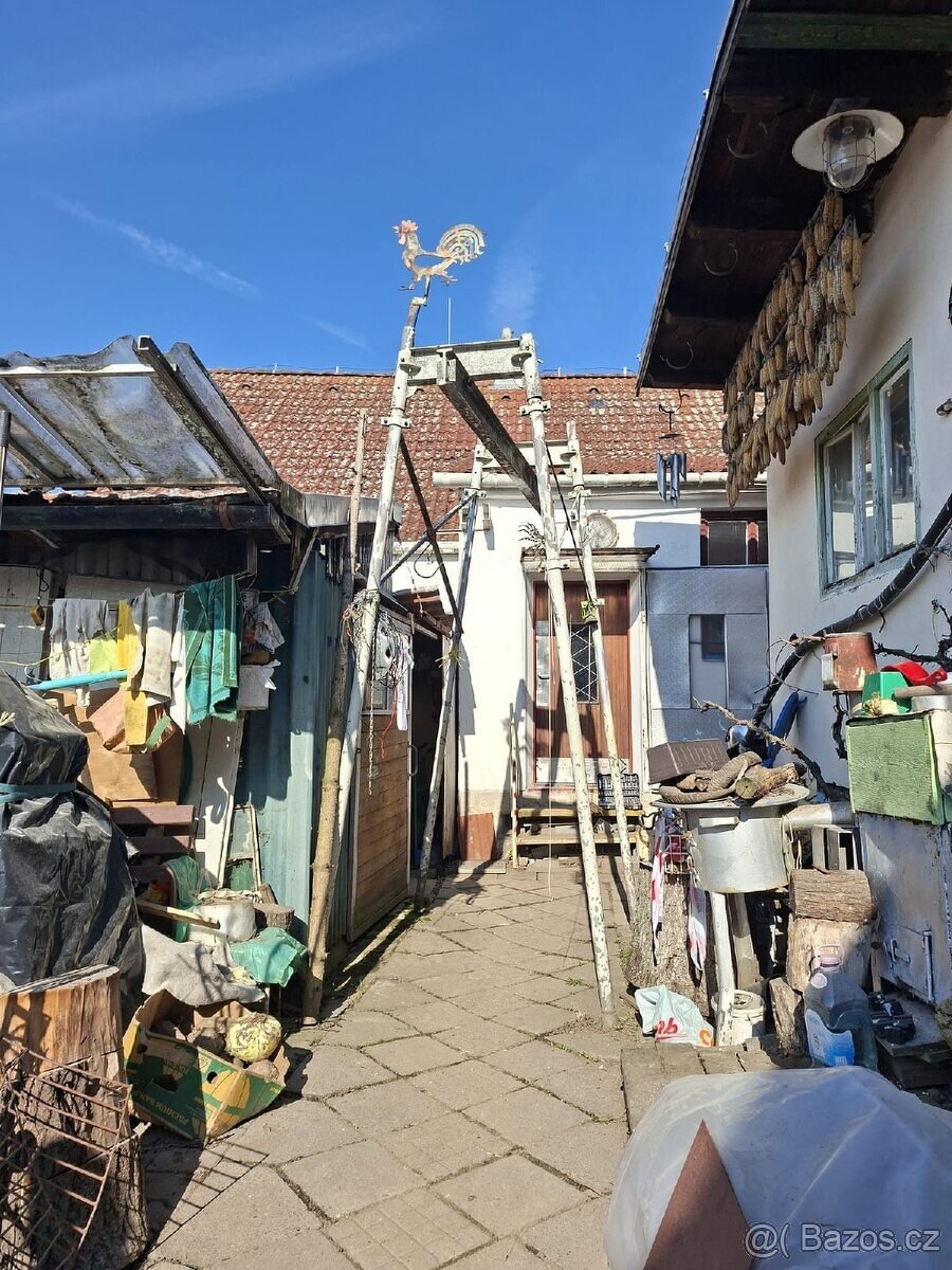 Prodám ocelovou kozu - 2