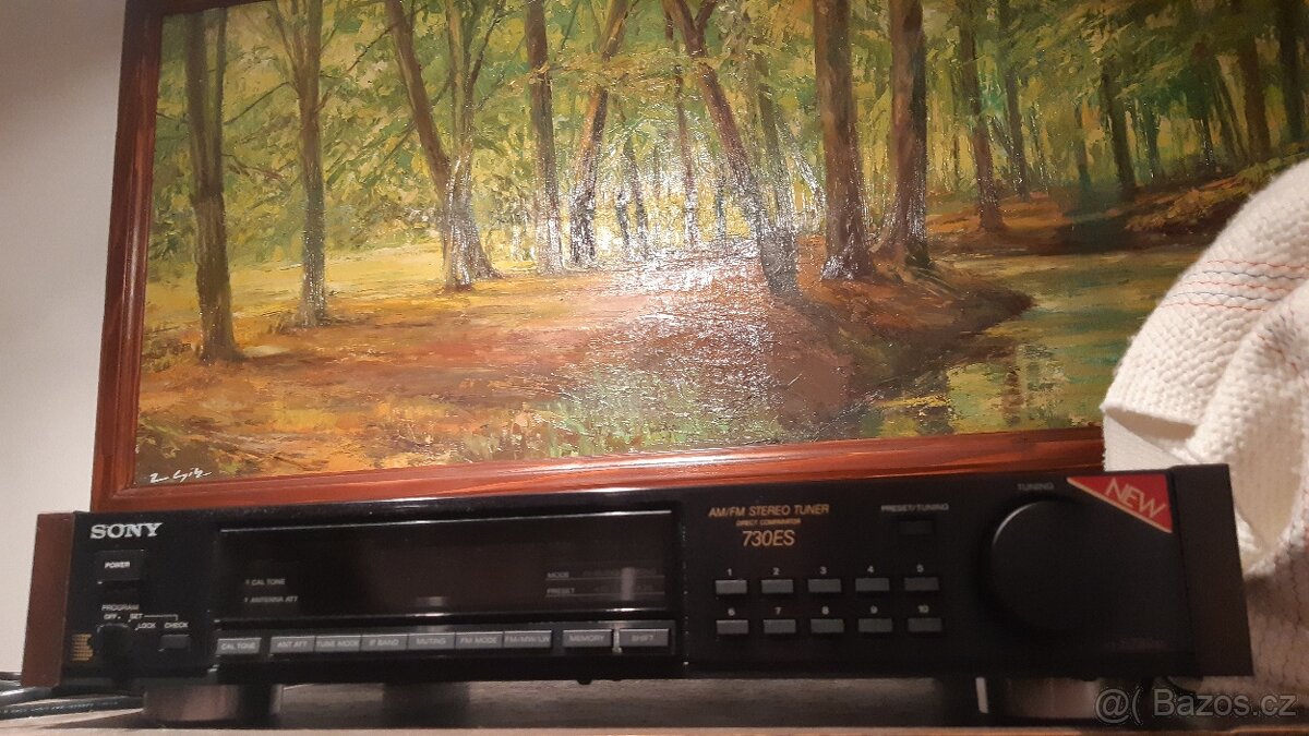SONY ST S730ES - 2
