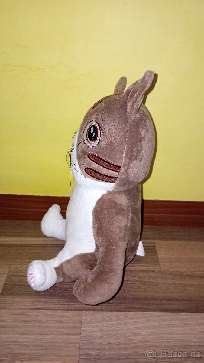 Kocourek Boris od FiZiho - 2