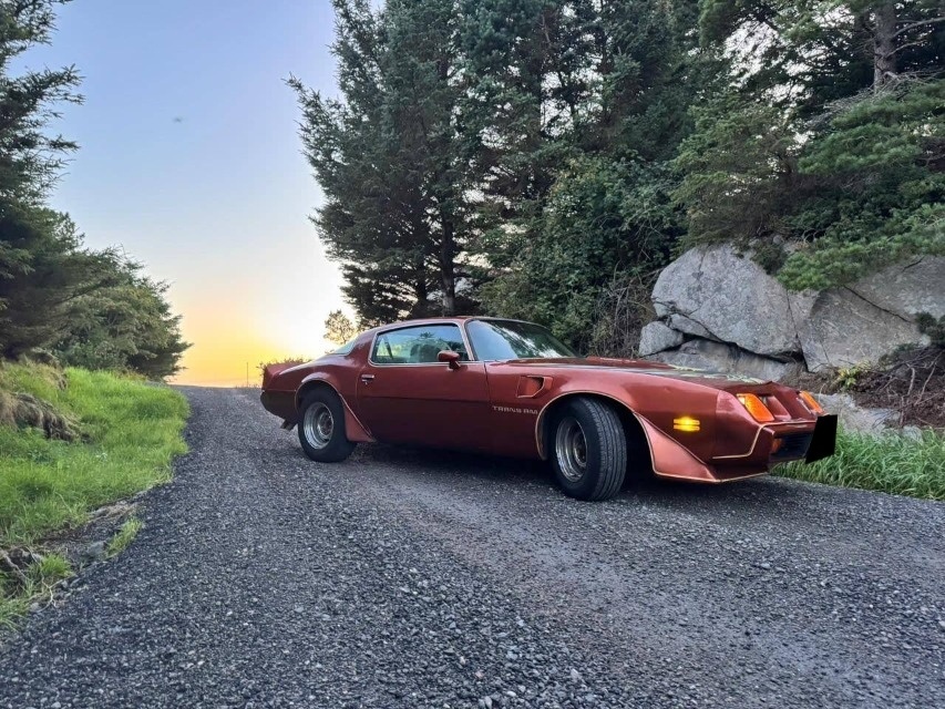 Pontiac Firebird Trans Am z roku 1980 - 2