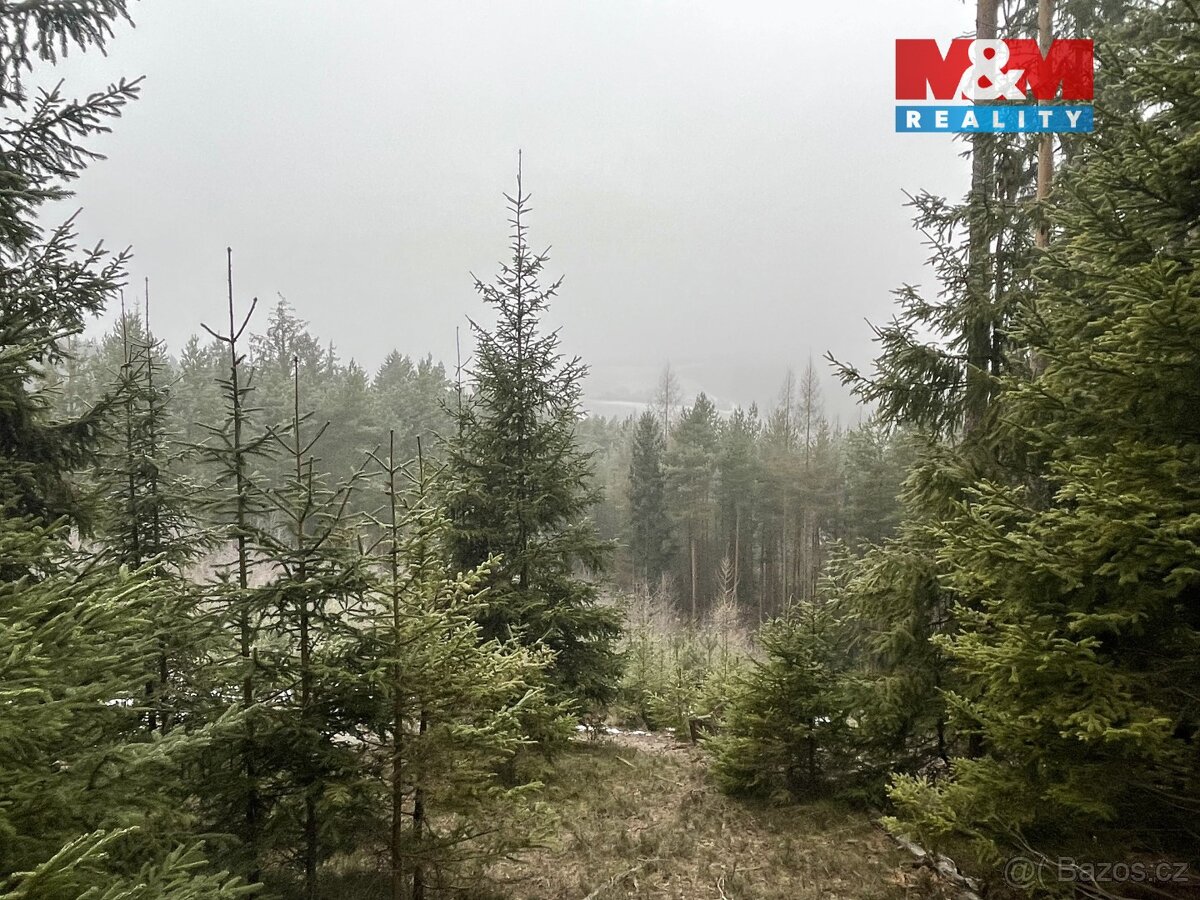 Prodej, les, 13753 m2, Úbislavice, Stav - 2