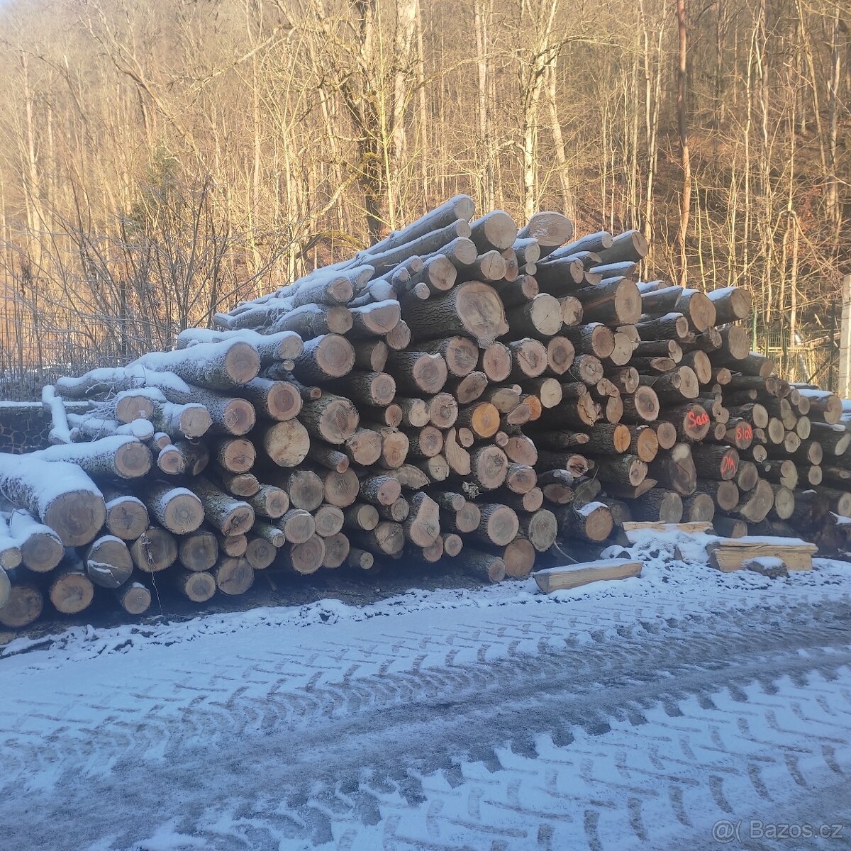 Palivové drěvo - 2