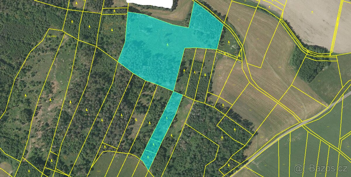 Lesní pozemek u Horažďovic - 2