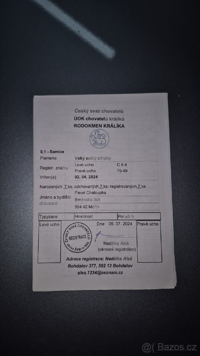 Prodam VSS samice - 2