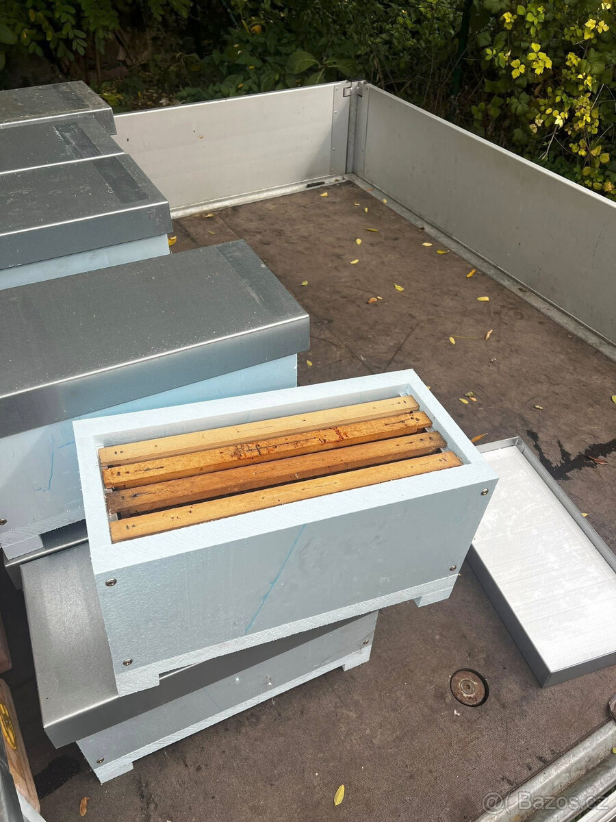 Plemenáče 39x17 4-rámkové - 2