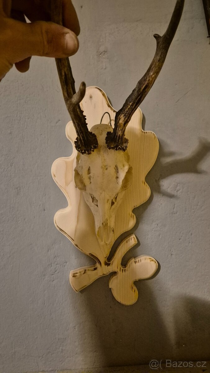 Podložky pod trofeje - 2