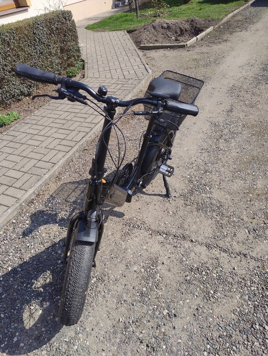 Leader Fox Cody 2024 - 2