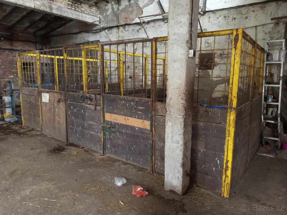 BOX PRO DVA KONĚ - 2