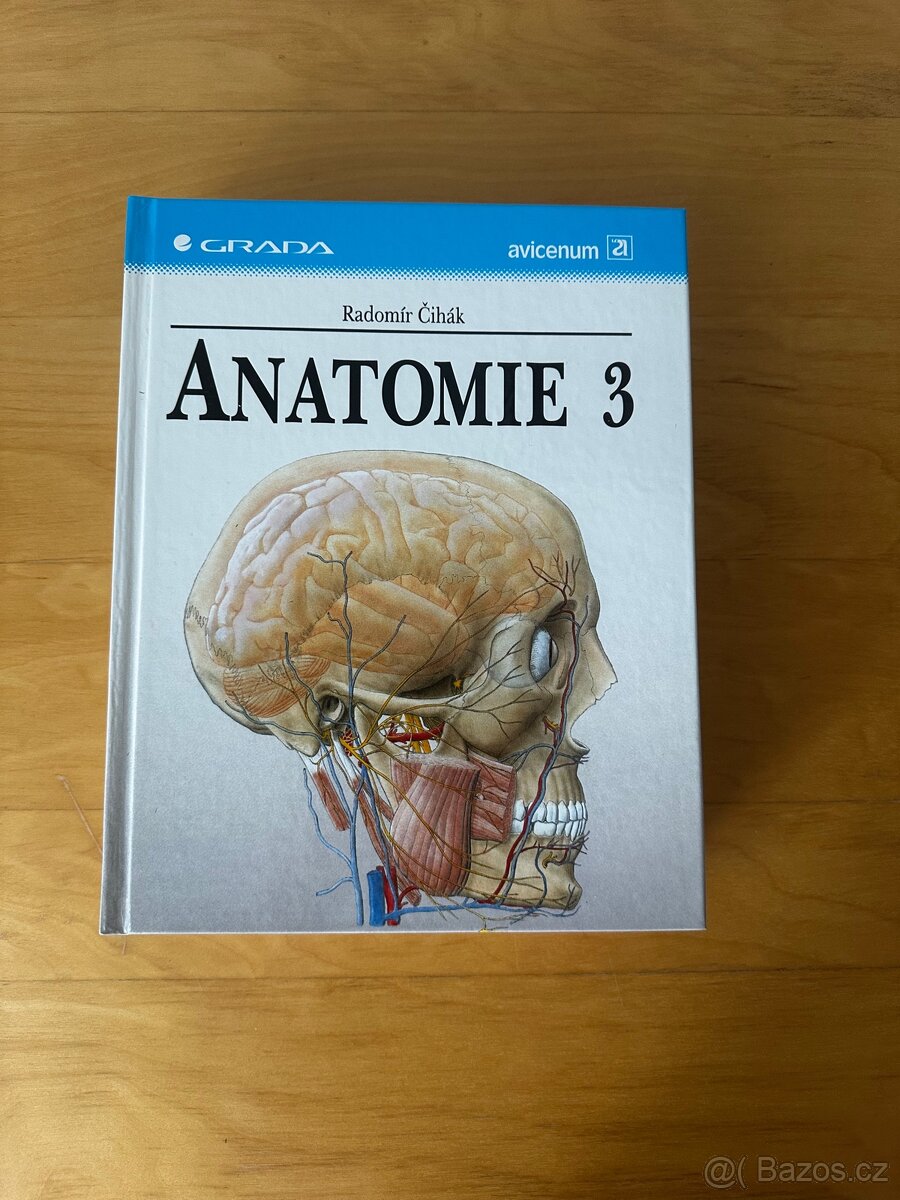 Anatomie 1,2,3 Čihák - 2