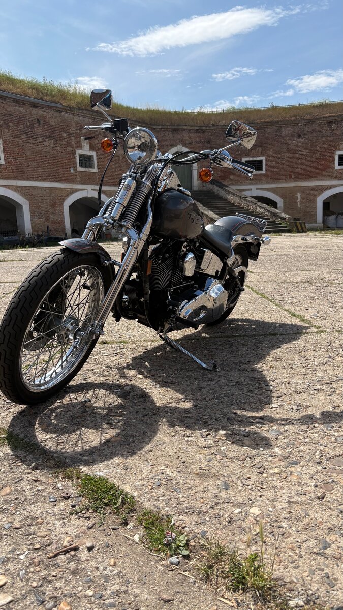 Harley Davidson Softail Springer EVO 1999 - 2