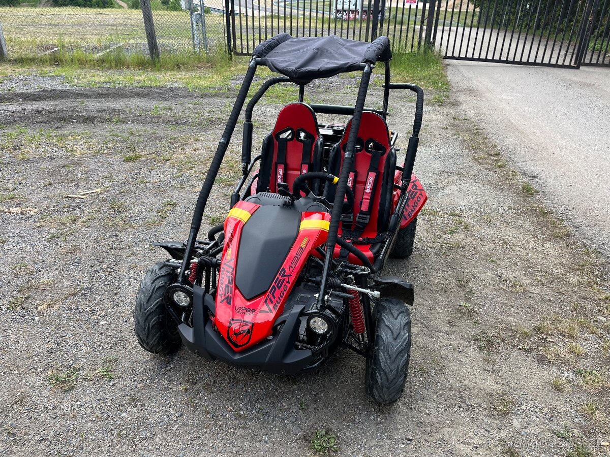 Viper Buggy